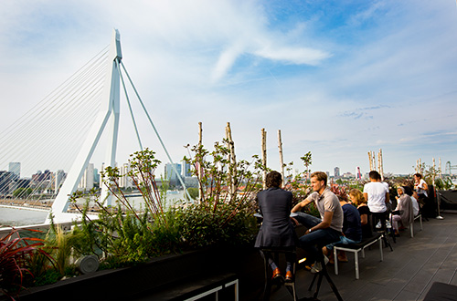 Drinks and dining places Rotterdam