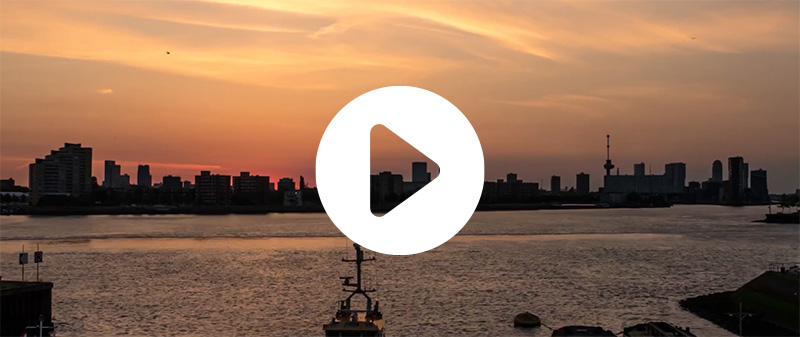 Video-groene schoolpleinen rotterdam